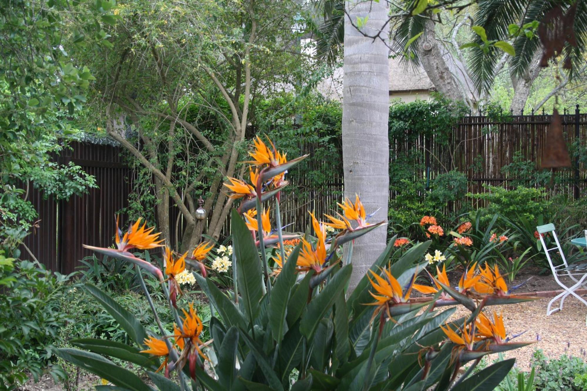 Tortelduif Cottage Stellenbosch Dış mekan fotoğraf