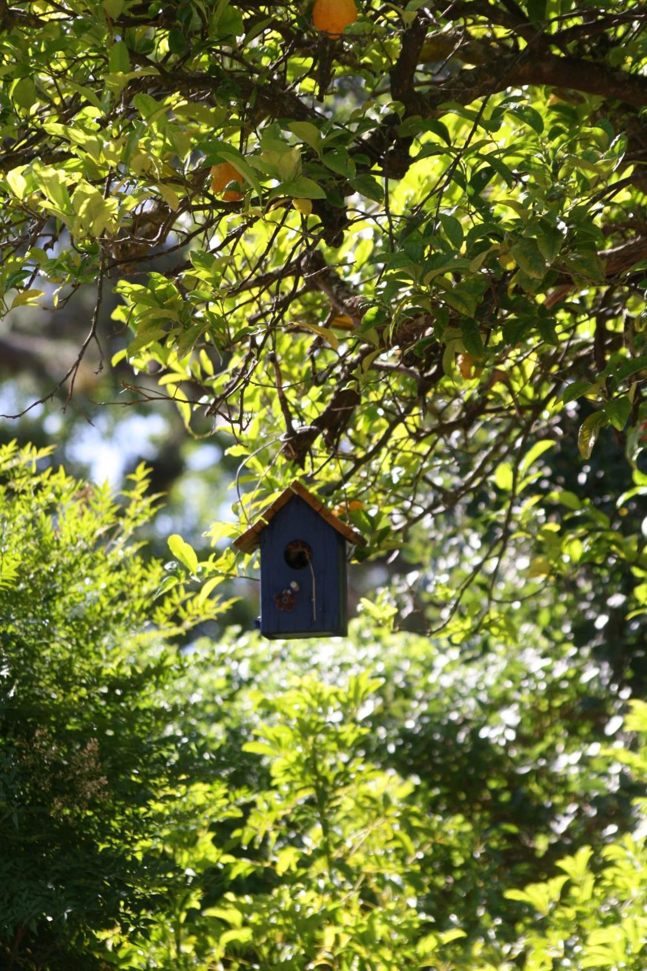 Tortelduif Cottage Stellenbosch Dış mekan fotoğraf